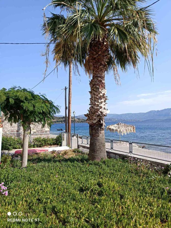 Rania'S House Διαμέρισμα Μέθανα Εξωτερικό φωτογραφία